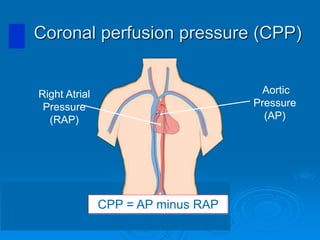 Right Atrial
Pressure
(RAP)
Aortic
Pressure
(AP)
Coronal perfusion pressure (СPP)
CPP = AP minus RAP
 