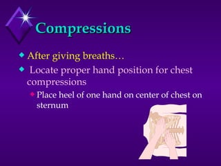 Compressions After giving breaths… Locate proper hand position for chest compressions Place heel of one hand on center of chest on sternum 