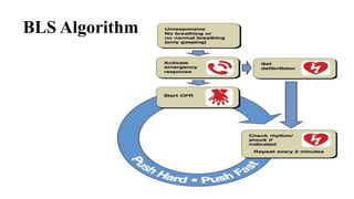 BLS Algorithm
 