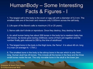 HumanBody – Some Interesting Facts & Figures - I 1. The largest cell in the body is the ovum or egg cell with a diameter of 0.2 mm. The smallest cells are of the brain and measure only 0.005mm across the cell body. 2. Life span of the Bone's cells is maximum (15 or 20 years). 3. Nerve cells don't divide or reproduce. Once they destroy, they destroy for ever. 4. An adult human being has about 206 bones in the body but a newborn baby has 330 bones. As bones grow during childhood, some of them join together and the number finally gets reduced to 206 by the time of adulthood. 5. The largest bone in the body is the thigh bone, the 'femur‘. It is about 48 cm. long in a man (of average ht. 1.75m.) 6. The smallest bone in the body is the stirrup bone in the ear which is only 3mm. long. Human skull has 29 bones. This include all the bones in the face and the three small bones inside the ear. The only movable bone in the skull is the lower jaw. Diabetes & Heart Care Clinic Dr.R.Ravindranath M.D. 