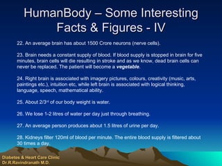 HumanBody – Some Interesting Facts & Figures - IV 22. An average brain has about 1500 Crore neurons (nerve cells). 23. Brain needs a constant supply of blood. If blood supply is stopped in brain for five minutes, brain cells will die resulting in stroke and as we know, dead brain cells can never be replaced. The patient will become a  vegetable . 24. Right brain is associated with imagery pictures, colours, creativity (music, arts, paintings etc.), intuition etc, while left brain is associated with logical thinking, language, speech, mathematical ability. 25. About 2/3 rd  of our body weight is water. 26. We lose 1-2 litres of water per day just through breathing. 27. An average person produces about 1.5 litres of urine per day. 28. Kidneys filter 120ml of blood per minute. The entire blood supply is filtered about 30 times a day. Diabetes & Heart Care Clinic Dr.R.Ravindranath M.D. 