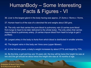 HumanBody – Some Interesting Facts & Figures - VI 36. Liver is the largest gland in the body having size approx. 21.5cms x 19cms x 14cms. 37. Human heart is of the size of a clenched fist and weighs about 300 gms. 38. The only vein that carries the pure blood is pulmonary vein (it carries pure blood from lungs to heart to be later delivered to the whole body). The only artery that carries impure blood is pulmonary artery. (It carries impure blood from heart to lungs to get it purified). 39. Largest artery in the body is Aorta from which blood is distributed in smaller arteries. 40. The largest veins in the body are Vena cava (upper &lower). 41. In the first two years, a baby's weight increases by about 271% and height by 73%. 42. By the time, a girl and boy are 18 years old, the boy will be twice the height he was at two and the girl should be about twice the height she was at 18 months of age. Diabetes & Heart Care Clinic Dr.R.Ravindranath M.D. 