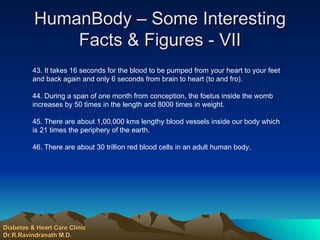 HumanBody – Some Interesting Facts & Figures - VII 43. It takes 16 seconds for the blood to be pumped from your heart to your feet and back again and only 6 seconds from brain to heart (to and fro). 44. During a span of one month from conception, the foetus inside the womb increases by 50 times in the length and 8000 times in weight. 45. There are about 1,00,000 kms lengthy blood vessels inside our body which is 21 times the periphery of the earth. 46. There are about 30 trillion red blood cells in an adult human body. Diabetes & Heart Care Clinic Dr.R.Ravindranath M.D. 