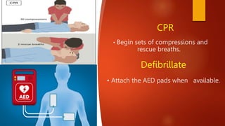 CPR adult.pptx
