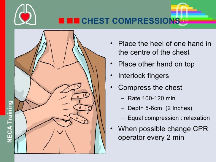 Cpr and anaphylaxis neca