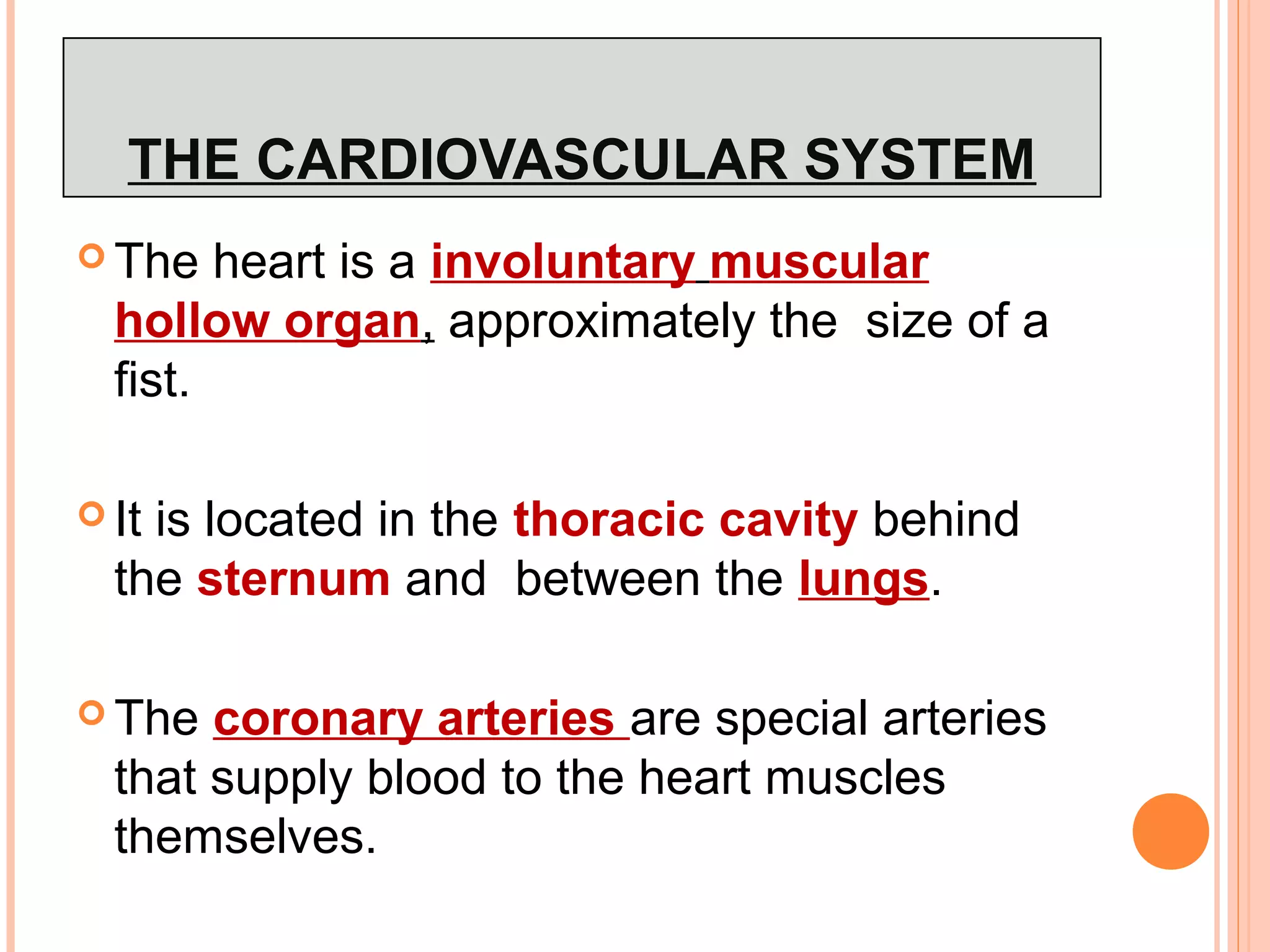 THE CARDIOVASCULAR SYSTEM
 The heart is a involuntary muscular
hollow organ, approximately the size of a
fist.
 It is located in the thoracic cavity behind
the sternum and between the lungs.
 The coronary arteries are special arteries
that supply blood to the heart muscles
themselves.
 