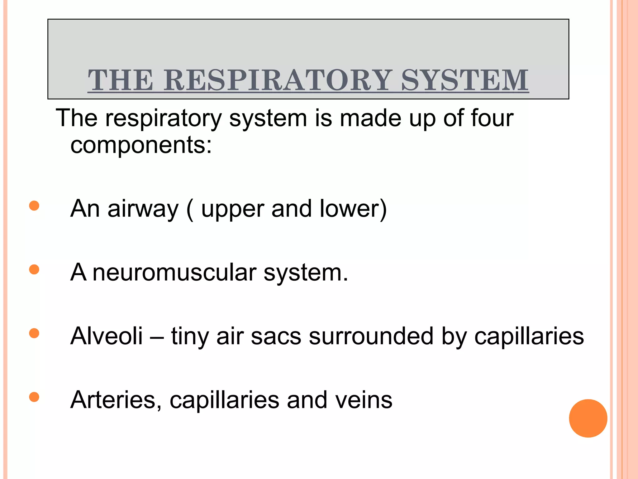 THE RESPIRATORY SYSTEM
The respiratory system is made up of four
components:
 An airway ( upper and lower)
 A neuromuscular system.
 Alveoli – tiny air sacs surrounded by capillaries
 Arteries, capillaries and veins
 