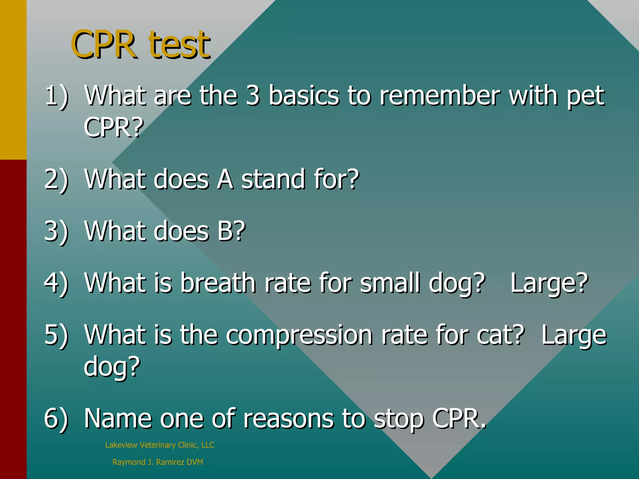 CPR for dogs and cats | PPT
