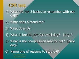 CPR test What are the 3 basics to remember with pet CPR? What does A stand for? What does B? What is breath rate for small dog?  Large? What is the compression rate for cat?  Large dog? Name one of reasons to stop CPR. 
