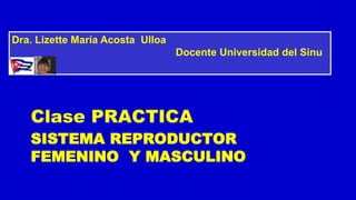 SISTEMA REPRODUCTOR
FEMENINO Y MASCULINO
Clase PRACTICA
Dra. Lizette María Acosta Ulloa
Docente Universidad del Sinu
 