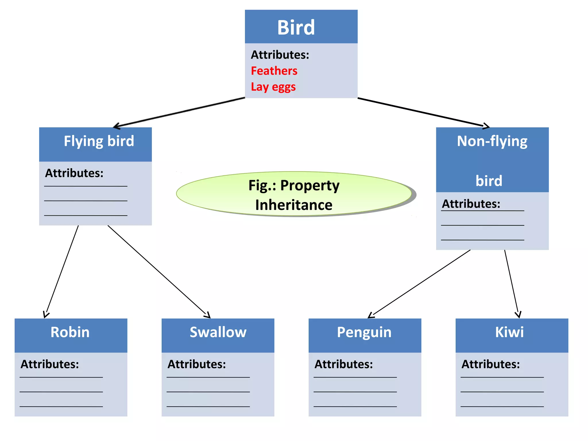 Bird
Attributes:
Feathers
Lay eggs

Flying bird

Non-flying

Attributes:

Robin
Attributes:

Fig.: Property
Fig.: Property
Inheritance
Inheritance

Swallow
Attributes:

Penguin
Attributes:

bird
Attributes:

Kiwi
Attributes:

 