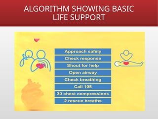 Fletcher Cpr Algorithm Brief explanation of Cardio Pulmonary Resucitation | PPTX