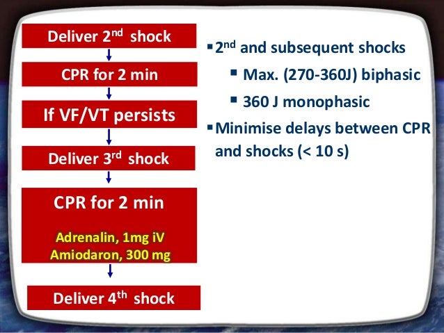 Cpr for adults - Cpr For Adults 26 638