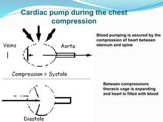 Cardiac pump during the chest
compression
Blood pumping is assured by the
compression of heart between
sternum and spine
Between compressions
thoracic cage is expanding
and heart is filled with blood
 