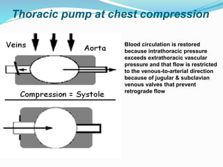 Thoracic pump at chest compression
Blood circulation is restored
because intrathoracic pressure
exceeds extrathoracic vascular
pressure and that flow is restricted
to the venous-to-arterial direction
because of jugular & subclavian
venous valves that prevent
retrograde flow
 