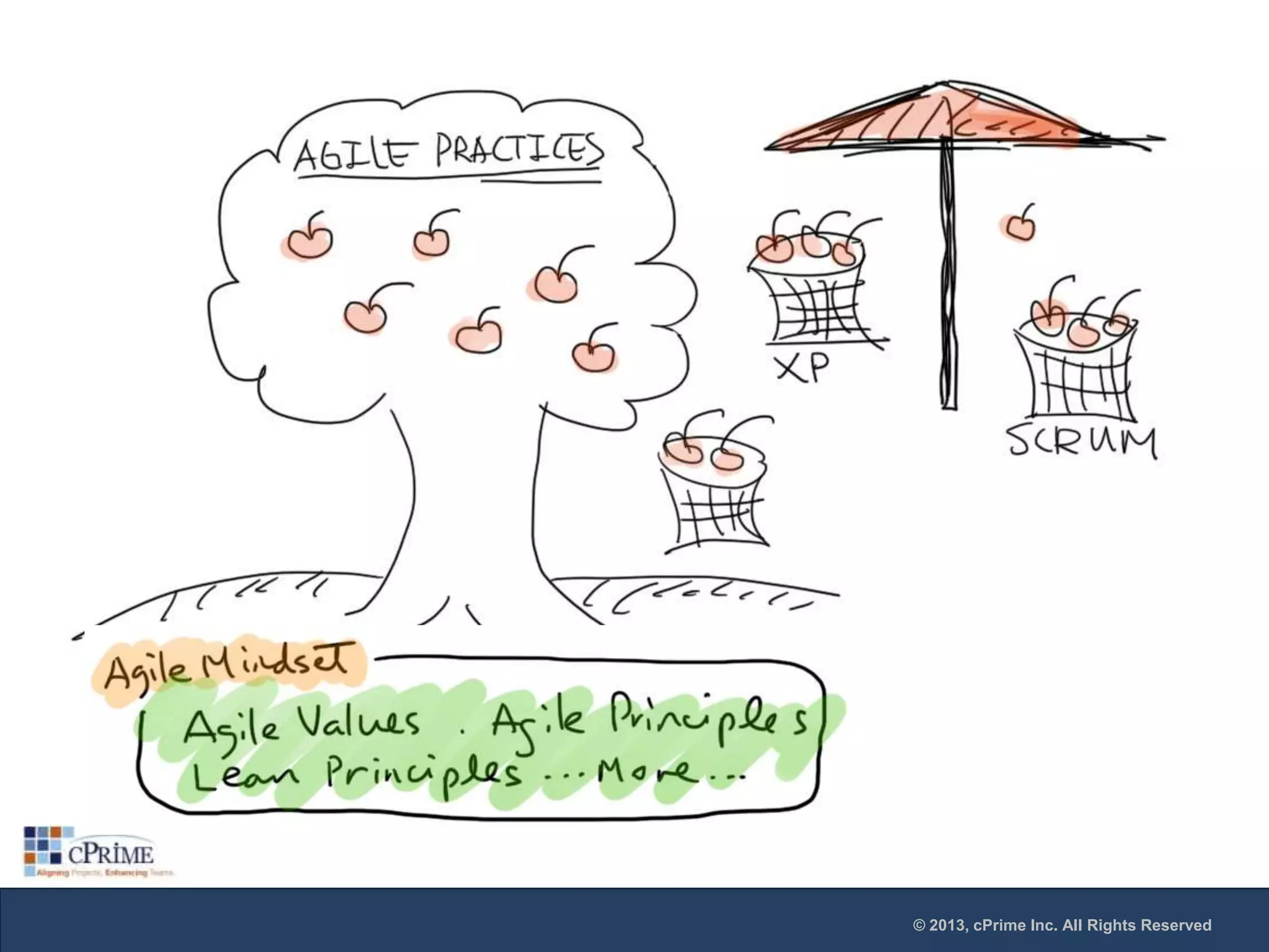 © 2013, cPrime Inc. All Rights Reserved

 