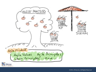 © 2013, cPrime Inc. All Rights Reserved

 