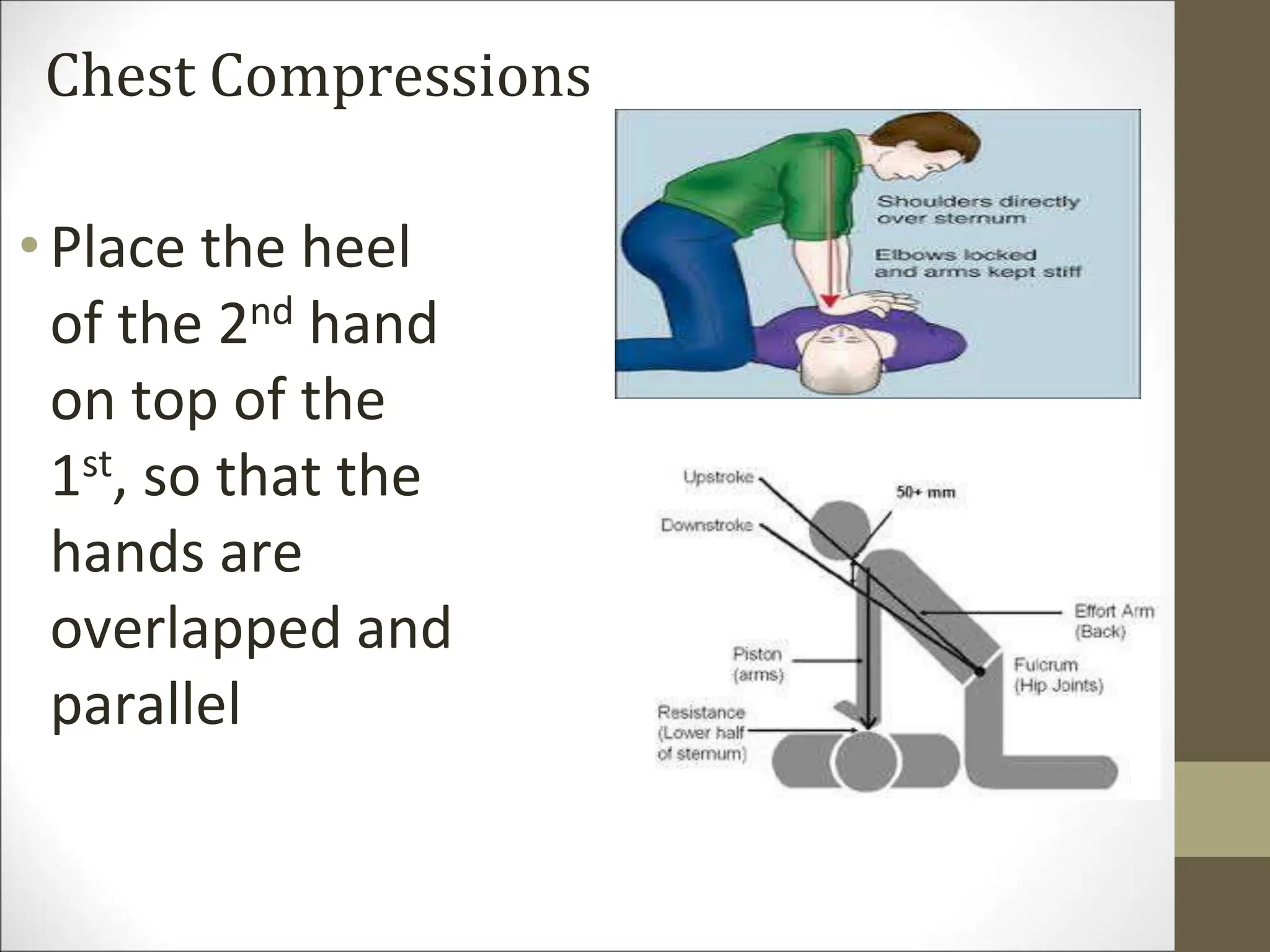 Chest Compressions
•Place the heel
of the 2nd hand
on top of the
1st, so that the
hands are
overlapped and
parallel
 