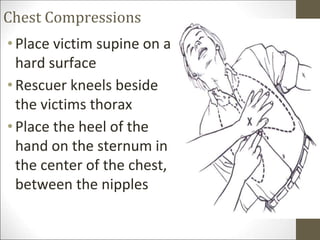 Chest Compressions
•Place victim supine on a
hard surface
•Rescuer kneels beside
the victims thorax
•Place the heel of the
hand on the sternum in
the center of the chest,
between the nipples
 