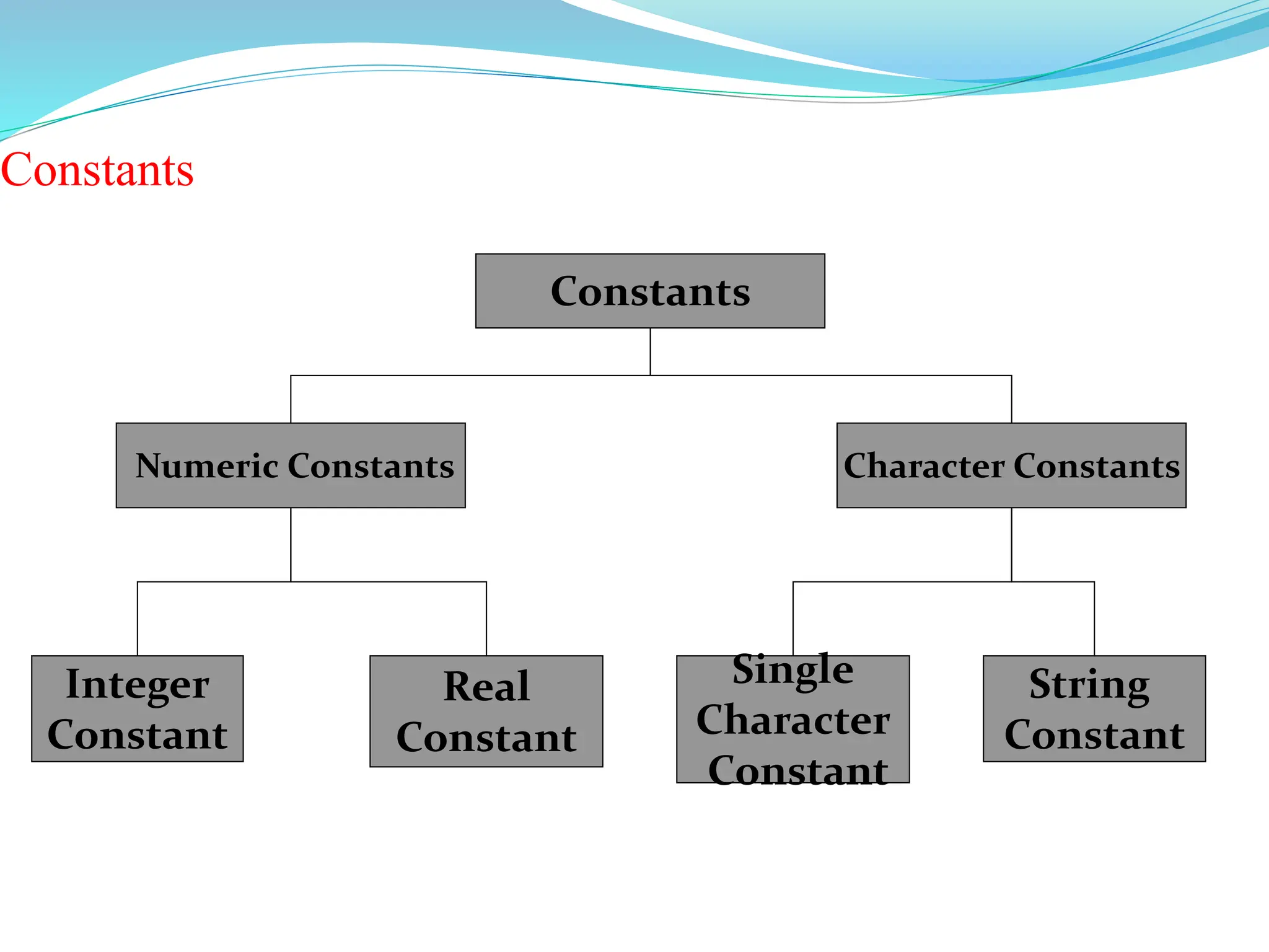 Constants
Constants
Character Constants
Numeric Constants
Real
Constant
Integer
Constant
String
Constant
Single
Character
Constant
 
