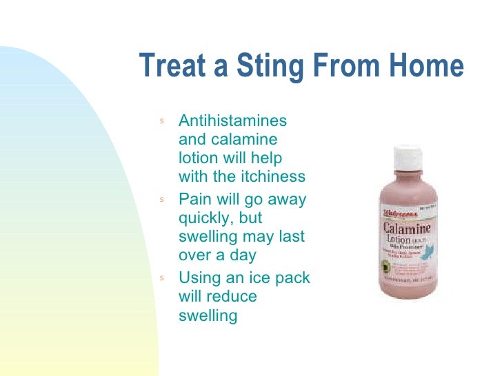 Bee Stings and Food/Drug Interactions