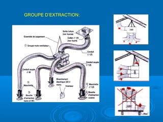 GROUPE D’EXTRACTION:
 