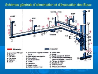 Schémas générale d’alimentation et d’évacuation des Eaux:
 