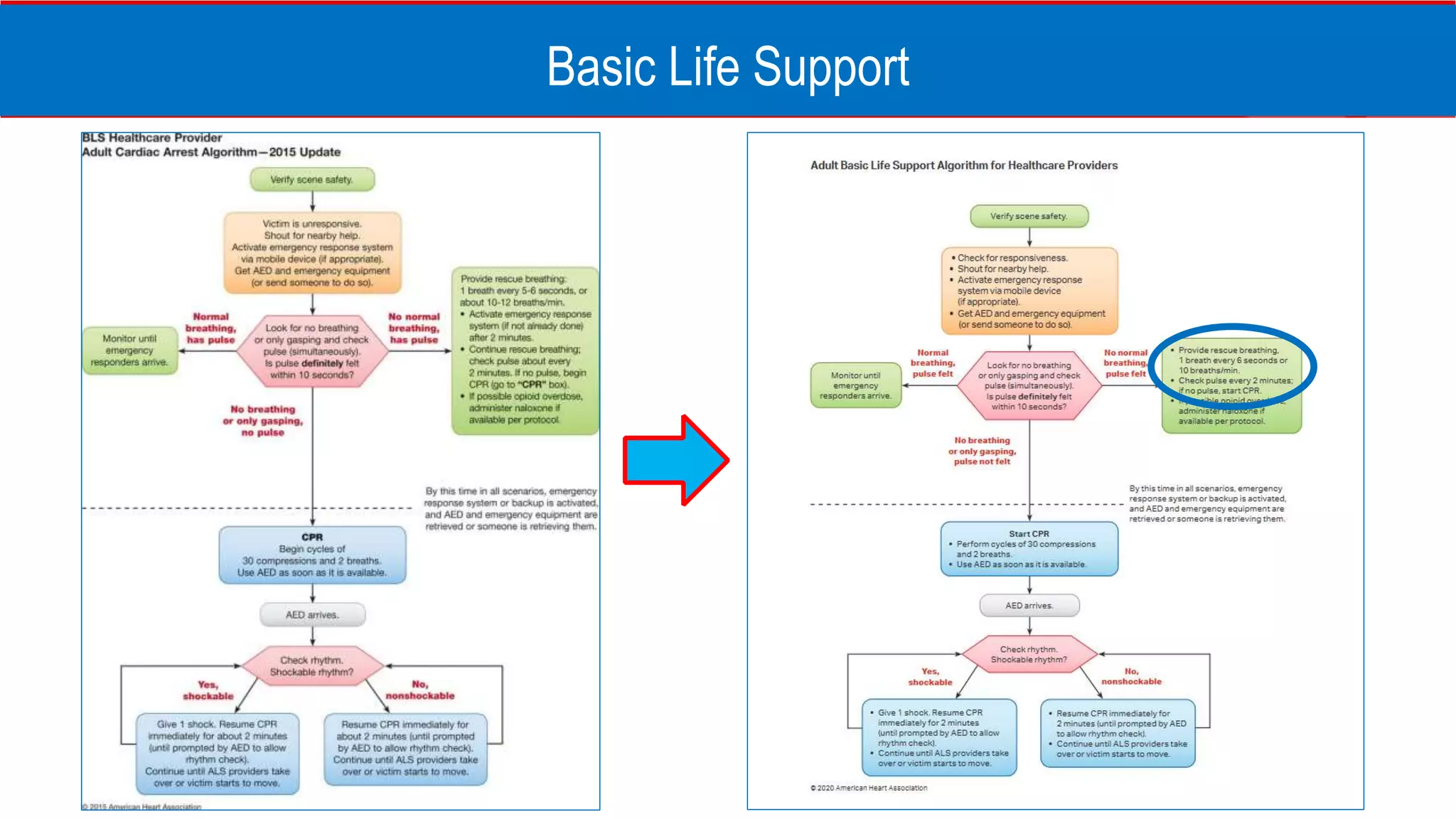 Basic Life Support
 
