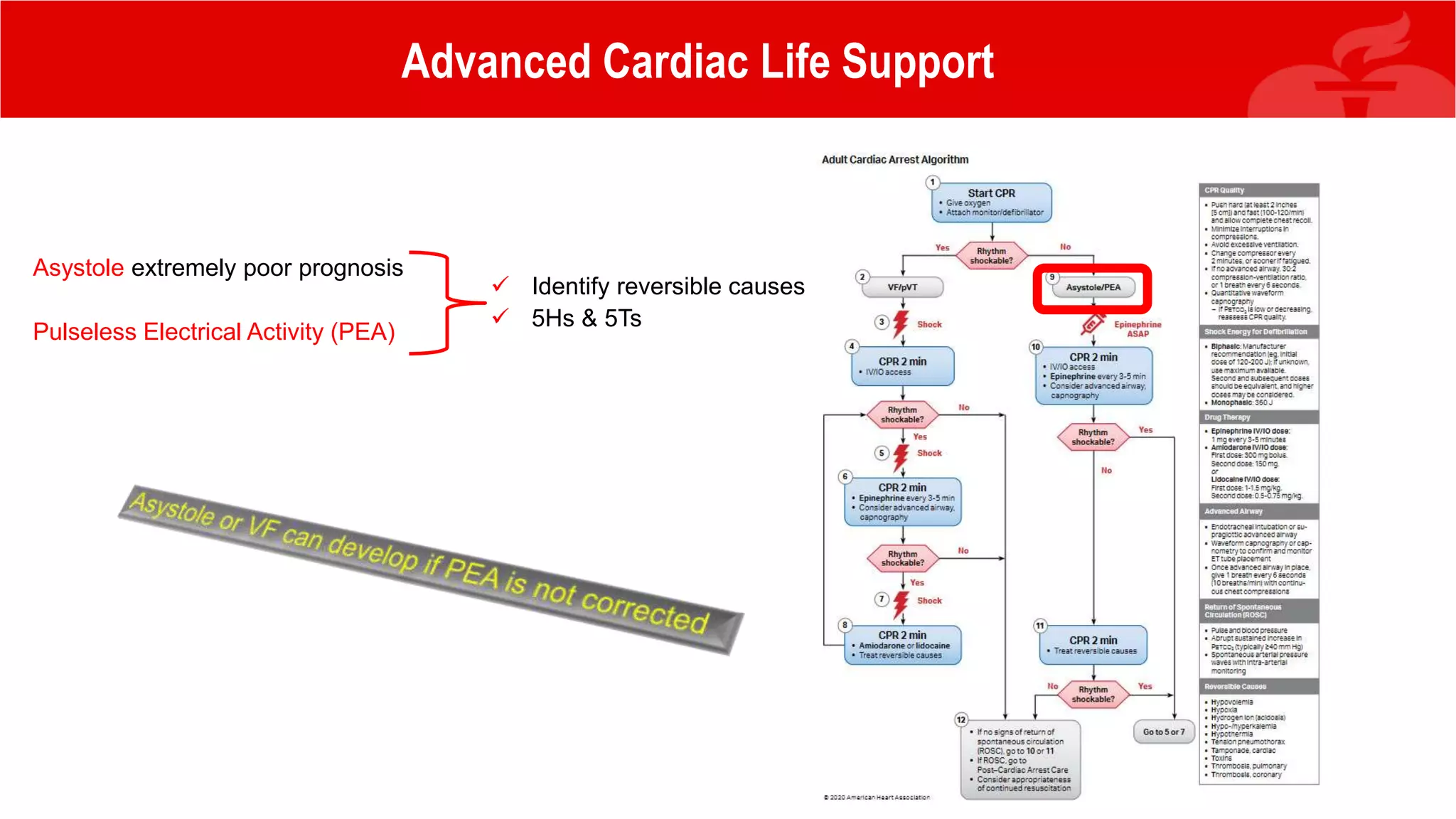 Advanced Cardiac Life Support
Asystole extremely poor prognosis
Pulseless Electrical Activity (PEA)
 Identify reversible causes
 5Hs & 5Ts
 