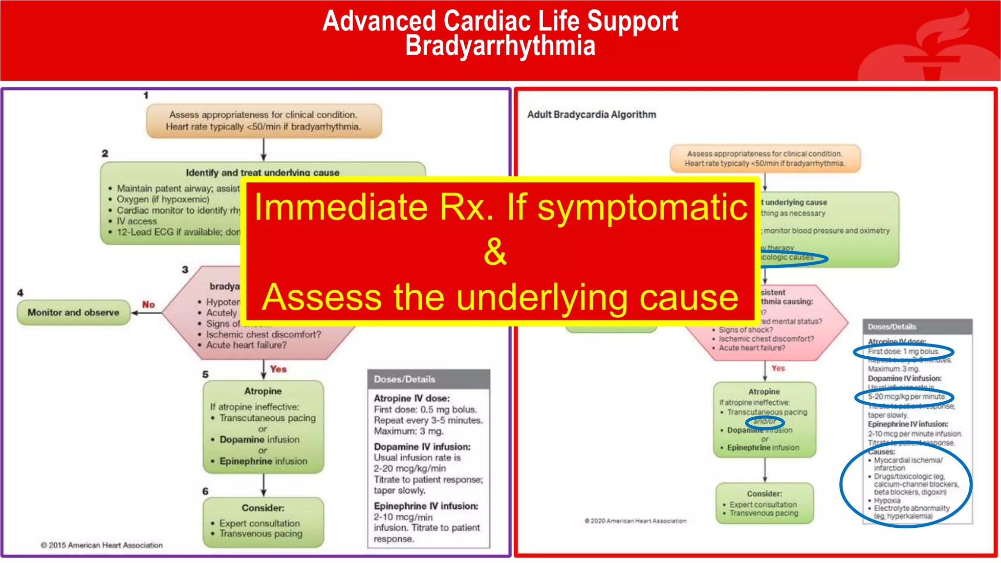 Advanced Cardiac Life Support
Bradyarrhythmia
Immediate Rx. If symptomatic
&
Assess the underlying cause
 