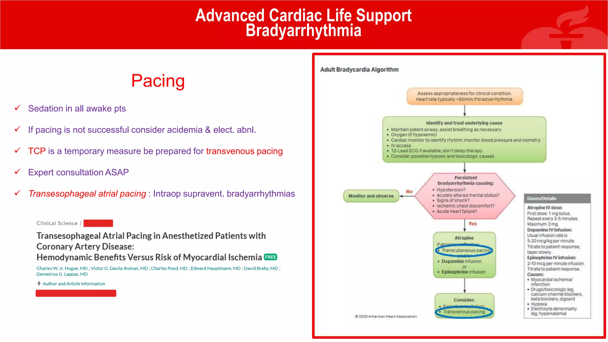 Pacing
 Sedation in all awake pts
 If pacing is not successful consider acidemia & elect. abnl.
 TCP is a temporary measure be prepared for transvenous pacing
 Expert consultation ASAP
 Transesophageal atrial pacing : Intraop supravent. bradyarrhythmias
Advanced Cardiac Life Support
Bradyarrhythmia
 