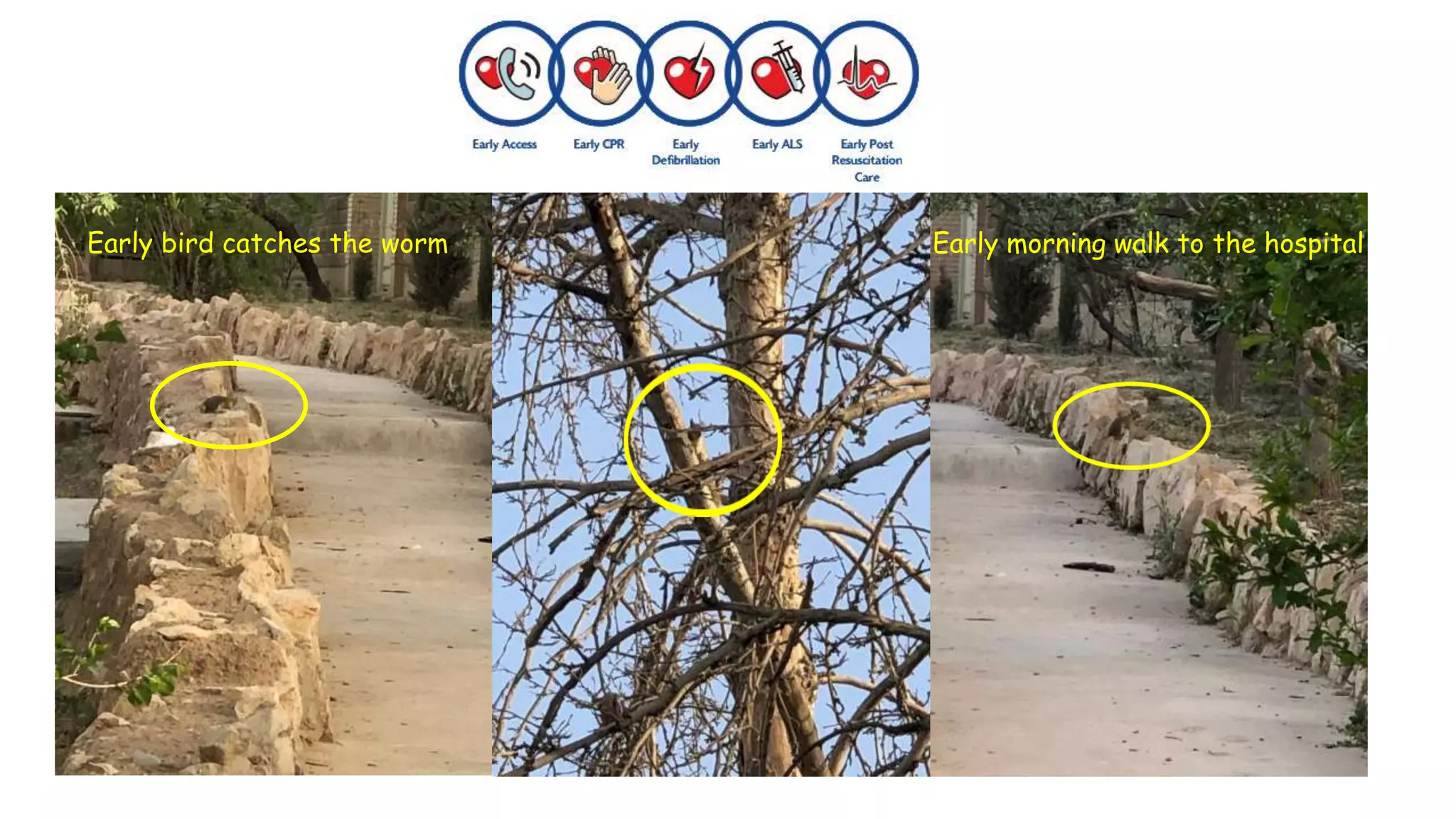 Early bird catches the worm Early morning walk to the hospital
 