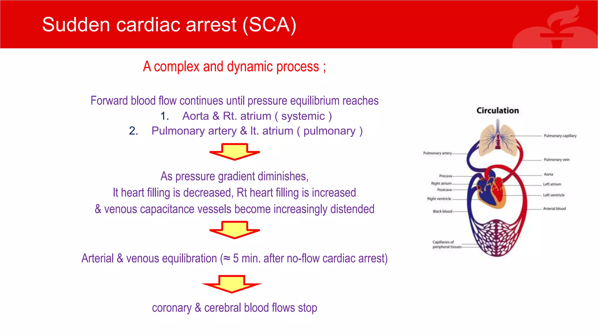 Sudden cardiac arrest (SCA)
A complex and dynamic process ;
Forward blood flow continues until pressure equilibrium reaches
1. Aorta & Rt. atrium ( systemic )
2. Pulmonary artery & lt. atrium ( pulmonary )
As pressure gradient diminishes,
lt heart filling is decreased, Rt heart filling is increased
& venous capacitance vessels become increasingly distended
Arterial & venous equilibration (≈ 5 min. after no-flow cardiac arrest)
coronary & cerebral blood flows stop
 