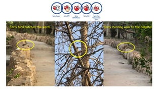 Early bird catches the worm Early morning walk to the hospital
 