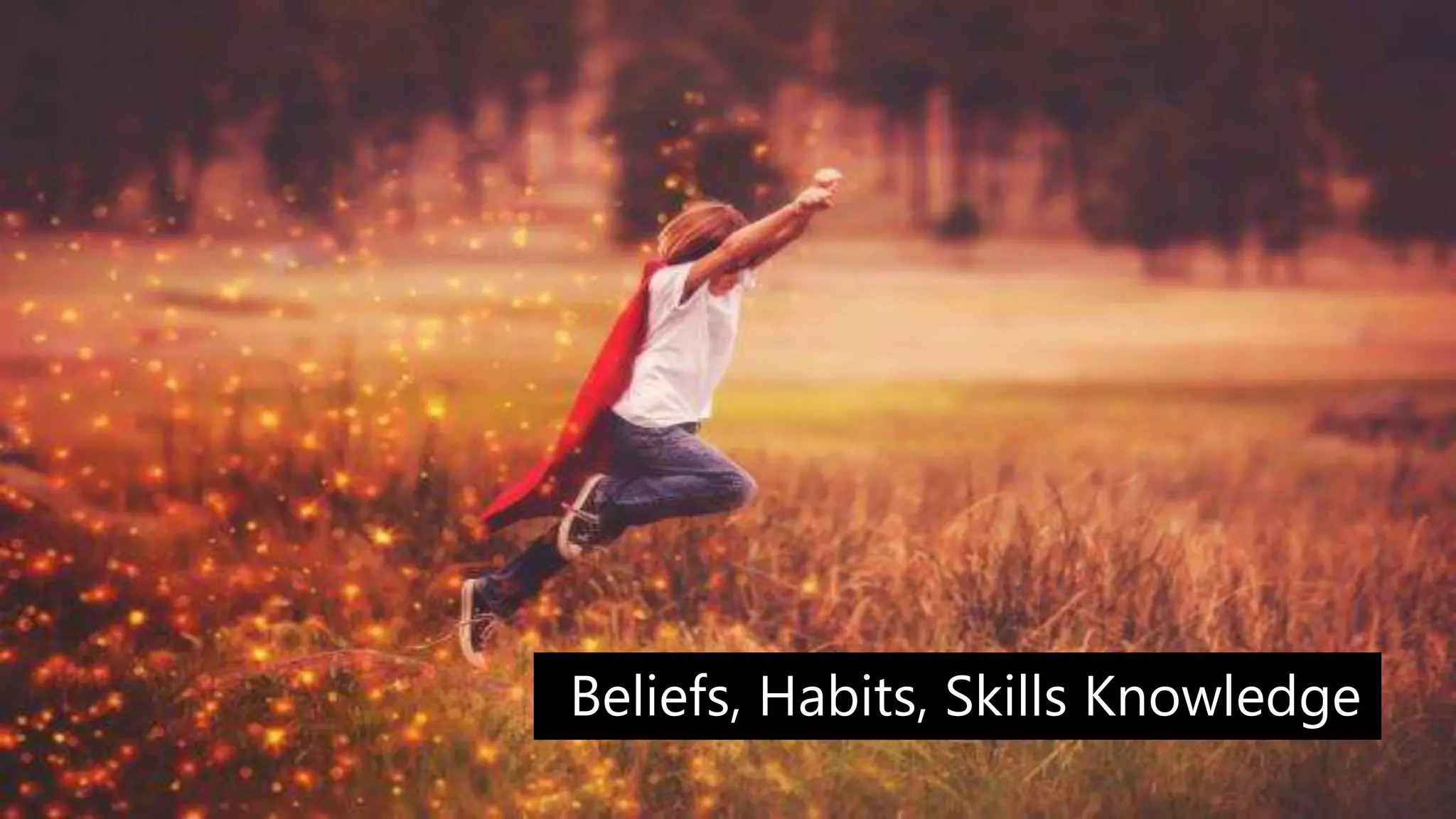 Beliefs, Habits, Skills Knowledge
 