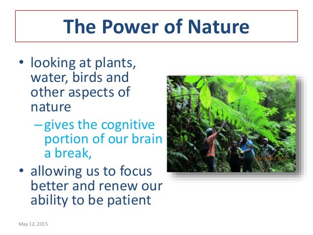 Brain Inhibits Pain Nature Com Brain Inhibits Pain Nature Com
