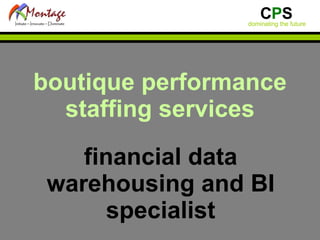 boutique performance staffing services financial data warehousing and BI specialist 