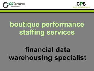 boutique performance staffing services financial data warehousing specialist 