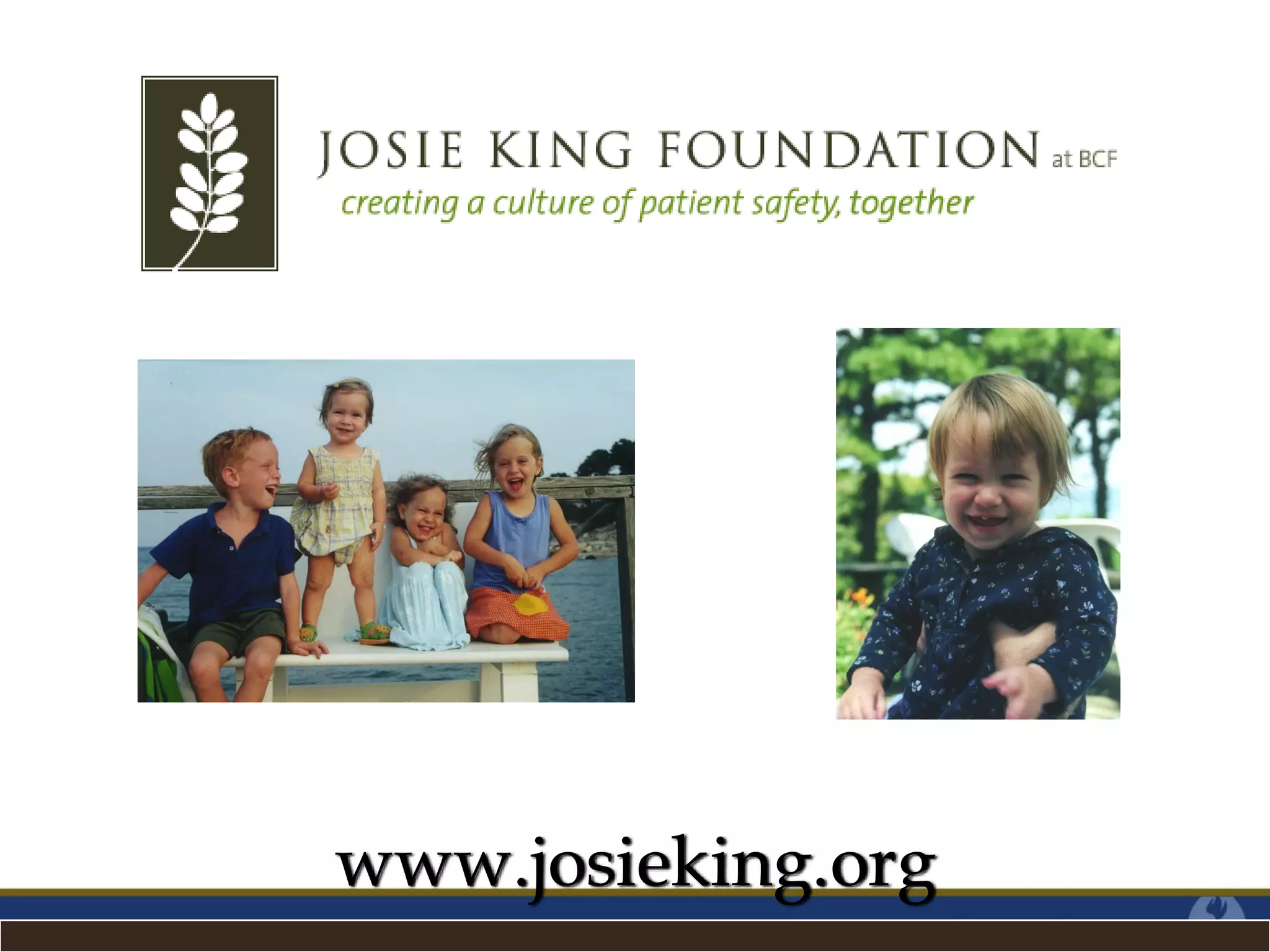 www.josieking.org
 