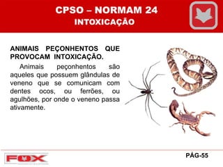 ANIMAIS PEÇONHENTOS QUE
PROVOCAM INTOXICAÇÃO.
Animais peçonhentos são
aqueles que possuem glândulas de
veneno que se comunicam com
dentes ocos, ou ferrões, ou
agulhões, por onde o veneno passa
ativamente.
CPSO – NORMAM 24
INTOXICAÇÃO
PÁG-55
 