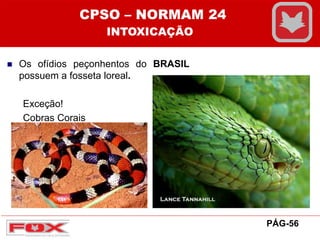 Os ofídios peçonhentos do BRASIL
possuem a fosseta loreal.
Exceção!
Cobras Corais
CPSO – NORMAM 24
INTOXICAÇÃO
PÁG-56
 