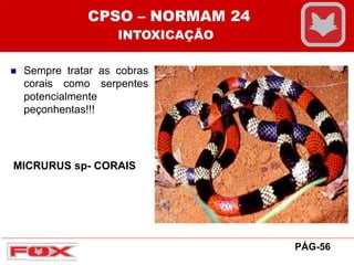  Sempre tratar as cobras
corais como serpentes
potencialmente
peçonhentas!!!
MICRURUS sp- CORAIS
CPSO – NORMAM 24
INTOXICAÇÃO
PÁG-56
 