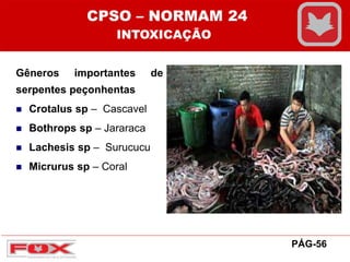 Gêneros importantes de
serpentes peçonhentas
 Crotalus sp – Cascavel
 Bothrops sp – Jararaca
 Lachesis sp – Surucucu
 Micrurus sp – Coral
CPSO – NORMAM 24
INTOXICAÇÃO
PÁG-56
 