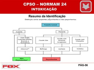 Resumo da Identificação
CPSO – NORMAM 24
INTOXICAÇÃO
PÁG-56
 