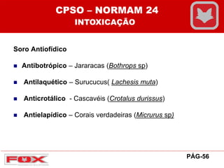Soro Antiofídico
 Antibotrópico – Jararacas (Bothrops sp)
 Antilaquético – Surucucus( Lachesis muta)
 Anticrotálico - Cascavéis (Crotalus durissus)
 Antielapídico – Corais verdadeiras (Micrurus sp)
CPSO – NORMAM 24
INTOXICAÇÃO
PÁG-56
 
