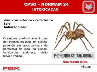 Veneno neurotóxico x cardiotóxico
Soro:
Antiaracnídeo
O sintoma predominante é uma
dor intensa no local da picada,
podendo ser acompanhada de
parestesia do local da picada,
taquicardia, sudorese, visão
turva e vômito.
Não fazem teias.
CPSO – NORMAM 24
INTOXICAÇÃO
PÁG-56
 