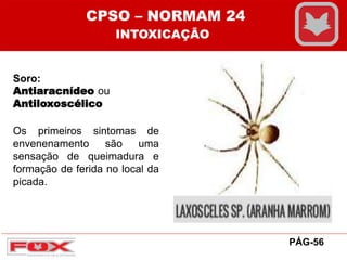 Soro:
Antiaracnídeo ou
Antiloxoscélico
Os primeiros sintomas de
envenenamento são uma
sensação de queimadura e
formação de ferida no local da
picada.
CPSO – NORMAM 24
INTOXICAÇÃO
PÁG-56
 