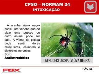 A aranha viúva negra
possui um veneno que ao
picar uma pessoa ou
outro animal pode ser
fatal. A vítima da picada
pode sentir dores
musculares, cãimbras e
disturbios nervosos.
Soro:
Antilatrodético
CPSO – NORMAM 24
INTOXICAÇÃO
PÁG-56
 