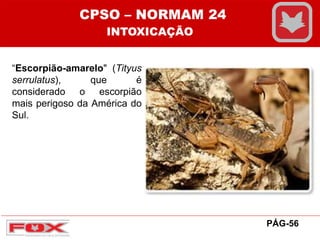 “Escorpião-amarelo" (Tityus
serrulatus), que é
considerado o escorpião
mais perigoso da América do
Sul.
CPSO – NORMAM 24
INTOXICAÇÃO
PÁG-56
 