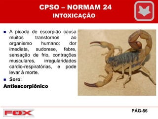  A picada de escorpião causa
muitos transtornos ao
organismo humano: dor
imediata, sudorese, febre,
sensação de frio, contrações
musculares, irregularidades
cardio-respiratórias, e pode
levar à morte.
 Soro:
Antiescorpiônico
CPSO – NORMAM 24
INTOXICAÇÃO
PÁG-56
 